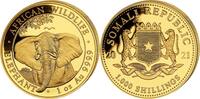 Somalia 1000 Schilling 2021 1 oz Gold Coin Elephant ST 6150,00 EUR  Excl. 40,00 EUR Verzending