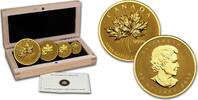 Kanada 2013 Maple Leaf Fractional 4-Coin Set Reverse Proof
