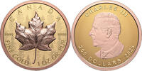 Kanada 200$ 2025 1 oz Gold Coin Maple Leaf - Ultra High Relief Reverse P... 4700,00 EUR  Excl. 10,00 EUR Verzending