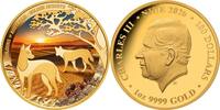 Niue 100$ 2026 1 oz Gold Coin Colours of Australia - Golden Deserts PP 6500,00 EUR  Excl. 40,00 EUR Verzending