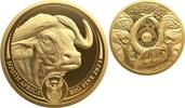 Südafrika 50 Rand 2023 1 oz Gold Coin Big Five Series II - Buffalo PP 4850,00 EUR  Excl. 10,00 EUR Verzending