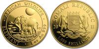 Somalia 1000 Schilling 1 oz Gold Coin Elephant -