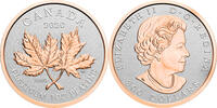 Kanada 300$ 1 oz Platinum Coin Maple Leaf - Forever with Rosegold -