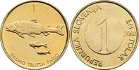 Slowenien 1 Tolar Bachforellen -
