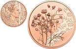 Oostenrijk 10 euro Oostenrijk 2023 10 Euro 'Kamille' -
