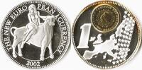 Penning Nederland 1 Euro 2002 The New European Currency -